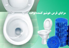 قرص خوشبو کننده توالت؛ عملکرد، مزایا، نحوه استفاده، و تأثیرات محیطی قرص خوشبو کننده توالت